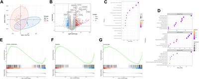 Construction of shared gene signature between rheumatoid arthritis and lung adenocarcinoma helps to predict the prognosis and tumor microenvironment of the LUAD patients